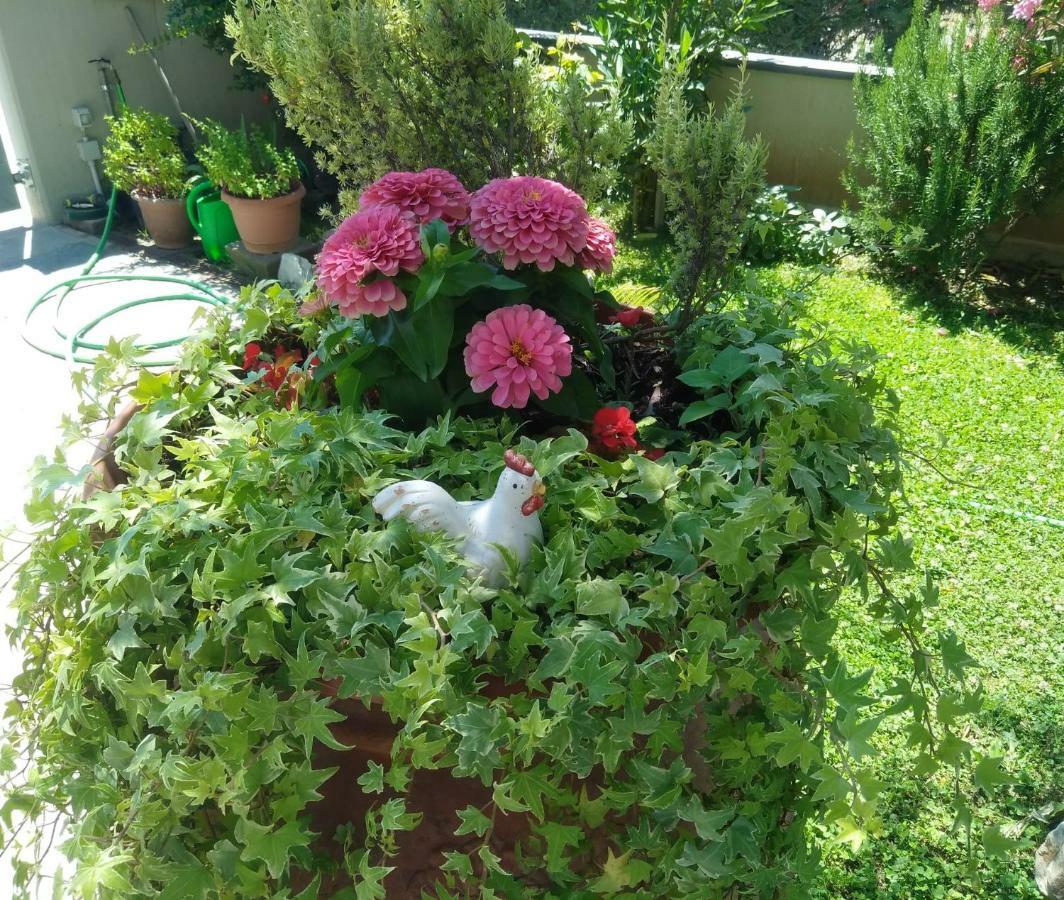 Agliana Appartamento Berlicche מראה חיצוני תמונה